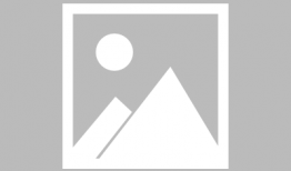 驴的交配视频,一场自然交配的视觉盛宴